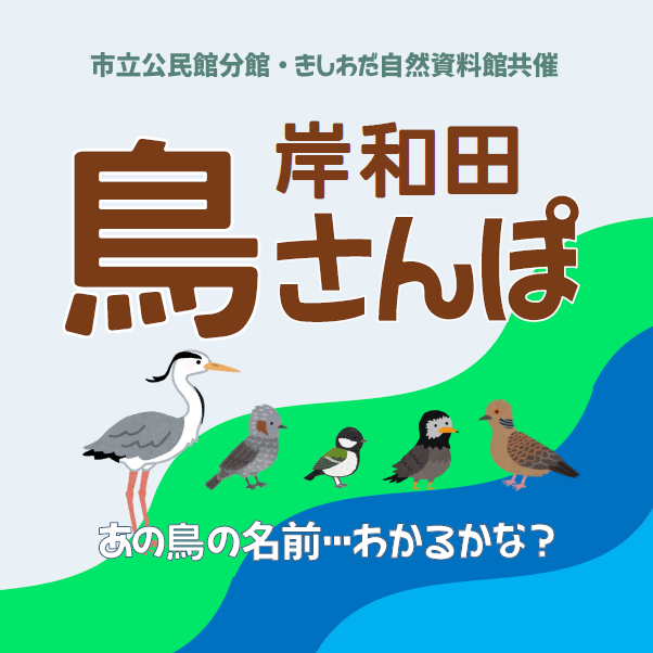 自然観察イベント「岸和田鳥さんぽ」参加者募集！
